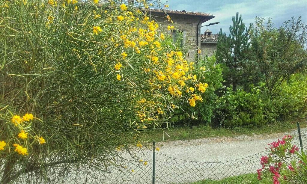 أسكولي بيتشينو B&B Casale Giovannozzi المظهر الخارجي الصورة